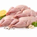 بلدرچین تازه